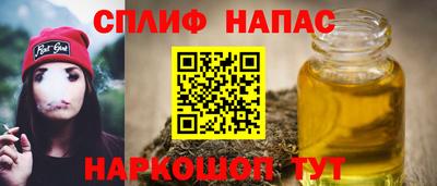 гашик Моздок