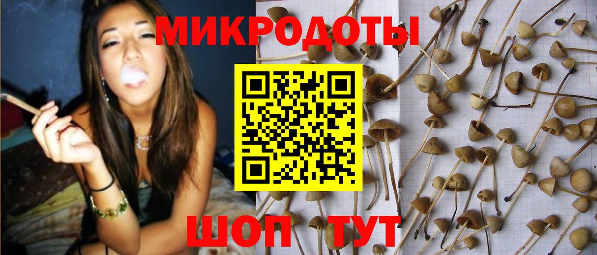 Псилоцибиновые грибы мухоморы Шатура