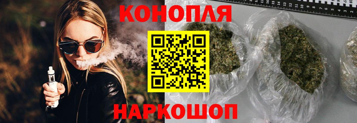 Каннабис OG Kush Шатура